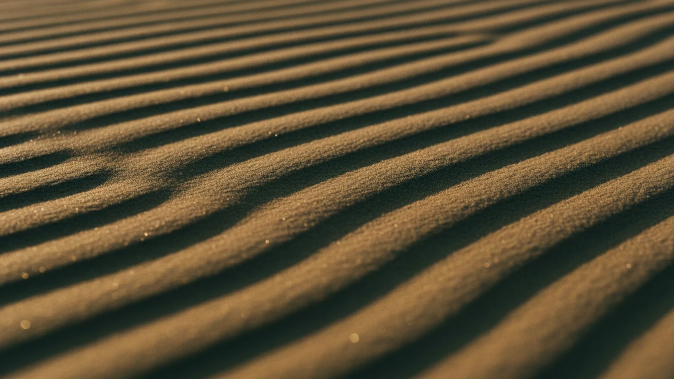 Sable du désert ridé par le vent